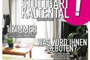 nettes ruhiges 1 Zimmer-App. Stuttgart-Kaltental DG