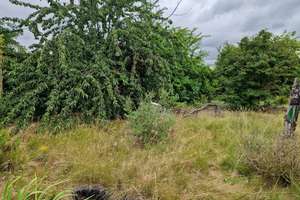 Doppelhaushälfte Birkenweiler – Birkenweiler 7. Gartenweg 7, 39128 Neustädter Feld, Magdeburg – Vorschaubild 47