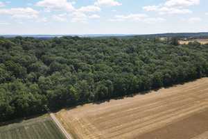 Ländlicher 3-Seiten-Hof zur Sanierung – Wohnhaus, Hofareal, Stallungen und 5.000 m² Wald! – Neustadt a.d. Aisch-Bad Windsheim (Kreis) – Vorschaubild 40