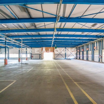 Ca. 5.000 qm Umschlaghalle | mehrere Rampen | Bis zu ca. 10,00 m UKB