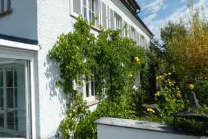 Mehr-Generationen-Haus! Drei Ferienwohnungen im DG – Bodenseekreis – Vorschaubild 6