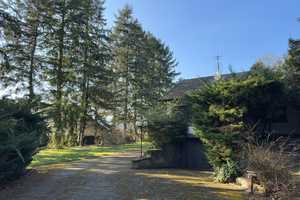 Einzigartiges Grundstück ... Einfamilienhaus mit Hallen auf einem parkähnlichem Grundstück – Miltenberg (Kreis) – Vorschaubild 2