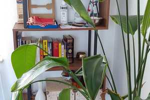 Property thumbnail 18