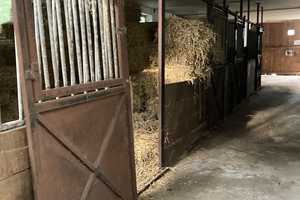 Ihr Traum vom Pferdeparadies - abgängiges Einfamilienhaus und Stallungen auf ca. 4.300m² Grundstück – Lippe (Kreis) – Vorschaubild 37