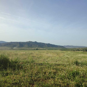 Landhaus in traditionellem Cortijo El Carche, Jumilla 14.000 m2 Grundstück und Wasseraktien