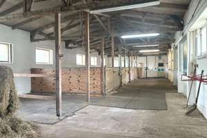 Traumhafter Resthof: 4 Wohneinheiten, Stall bis zu 12 Boxen mit eigenem Reitplatz in Hohenkirchen – Die vollständige Adresse der Immobilie erhältst du vom Anbieter., 23968 Hohenkirchen – Vorschaubild 27