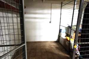Sehr helle und ruhige Wohnung in Berlin-Karlshorst, 600 m zur BHT Treskowallee – Rolandseck 1a, 10318 Karlshorst, Berlin – Vorschaubild 10