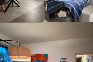 Charmante Altbau Etagenwohnung in Parknähe – 94 m² im 2. OG