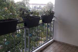 GESUCHTES STRIESEN! VERMIETETE 2 RAUM- WOHNUNG, 2.OG, BALKON, LIFT, TG UND HOBBYRAUM! – Eibenstocker Straße 25, 1277 Striesen-Süd, Dresden – Vorschaubild 19
