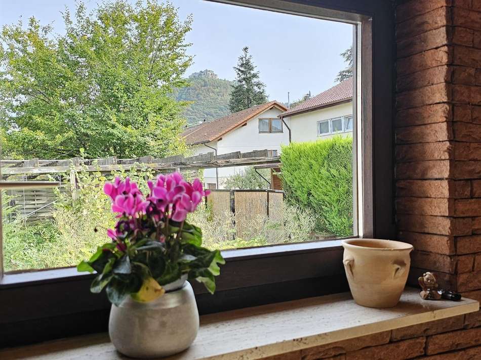 Blick auf Hohen Neuffen
