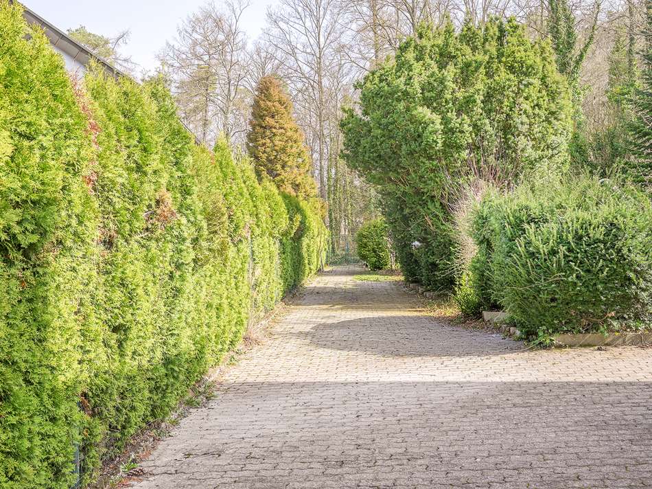 Zufahrt Garten