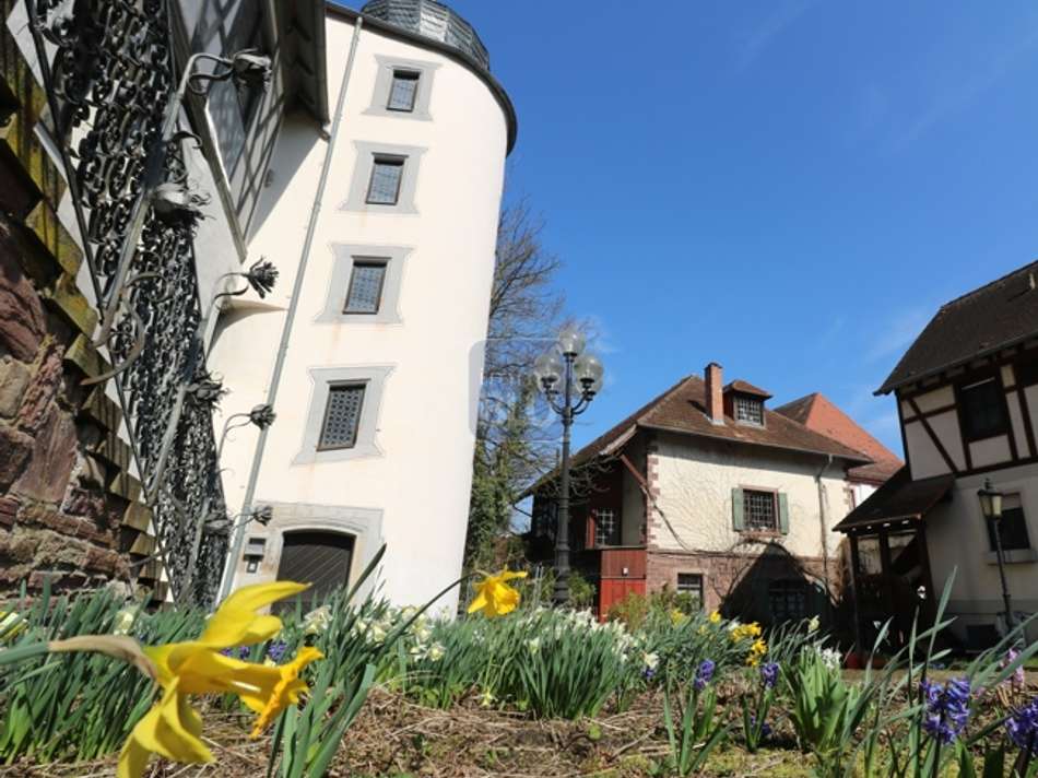 Atelierhaus am Schloss Auguste