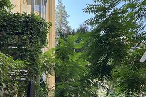 Dachgeschosswohnung mit 20qm -Dachterrasse, Kamin & Aufzug in verkehrsberuhigtem Bereich in Moabit  – Wiclefstraße 59, 10551 Moabit, Berlin – Vorschaubild 17