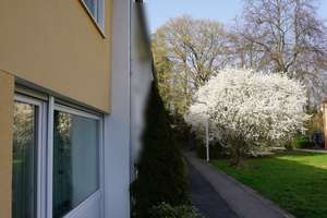 Ihr neues Zuhause in Bonn: Familienfreundliches Reihenmittelhaus mit Garten – Die vollständige Adresse der Immobilie erhältst du vom Anbieter., 53119 Tannenbusch, Bonn – Vorschaubild 2
