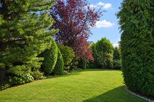 Großzügiges Einfamilienhaus mit Garten in Münster - Hiltrup – Die vollständige Adresse der Immobilie erhältst du vom Anbieter., 48165 Hiltrup-Mitte, Münster – Vorschaubild 8