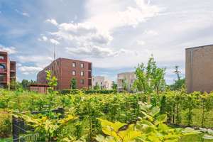Vermietete Kapitalanlage in Bothfeld: 2-Zi-Eigentumswohnung mit Balkon, KfW-55, PV-Anlage – Buchfinkstieg 49, 30657 Bothfeld, Hannover – Vorschaubild 13