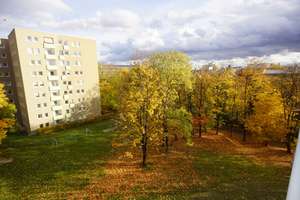 Property thumbnail 17