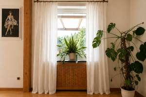Traumgrundstück trifft Wohnqualität – großzügiges Familienhaus mit Einliegerwohnung und Potenzial – Die vollständige Adresse der Immobilie erhältst du vom Anbieter., 85049 Friedrichshofen-Hollerstauden, Ingolstadt – Vorschaubild 22