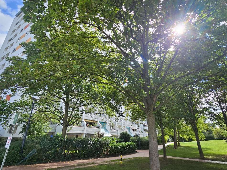 20250915_121551_resized