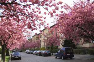 Property thumbnail 1