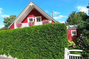 EINZIEHEN UND WOHLFÜHLEN – TRAUMHAUS IN DER SCHWEDENHAUSSIEDLUNG – Oberhavel (Kreis) – Vorschaubild 16