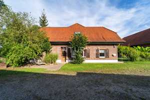 Einzigartige Ranch: 6000 m² Freiheit & über 800 m² Wohnfläche! – Kleve (Kreis) – Vorschaubild 49