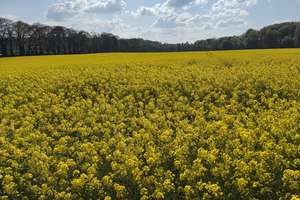 Solide Kapitalanlage*Sonnenterrasse mit kl. Garten* Toll aufgeteilt*Düsseldorf-Knittkuhl – Am Püttkamp 42, 40629 Knittkuhl, Düsseldorf – Vorschaubild 8