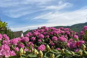 RESERVIERT - Außergewöhnlicher schöner Bungalow mit Einliegerwohnung in exklusiver Lage - Biedenkopf – Die vollständige Adresse der Immobilie erhältst du vom Anbieter., 35216 Biedenkopf – Vorschaubild 68