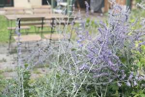 Lebendiges Dottendorf: Großzügige 4-Zimmer-Wohnung – 53129 Dottendorf, Bonn – Vorschaubild 10