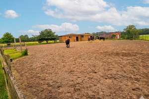 PRIVATVERKAUF: Traumhafter Resthof in idyllischer Alleinlage (49626 Berge) – Provisionsfrei! 🌳🐴 – Die vollständige Adresse der Immobilie erhältst du vom Anbieter., 49626 Berge – Vorschaubild 23