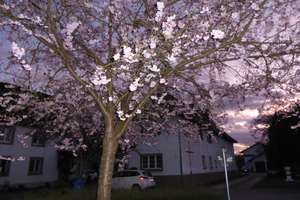 Property thumbnail 13