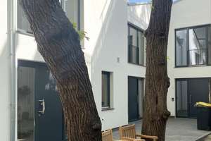 *Neubau im Viertel* 3,5-Zimmer-Maisonettewohnung in charmanter Hinterhoflage - WE 01