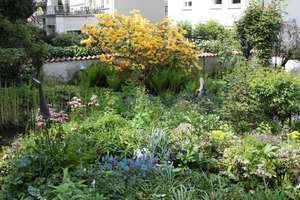 Property thumbnail 5