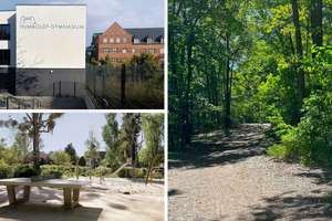 Wohnen am Wald – Haus mit großem Grundstück und Entwicklungsmöglichkeiten – Die vollständige Adresse der Immobilie erhältst du vom Anbieter., 14478 Teltower Vorstadt, Potsdam – Vorschaubild 36