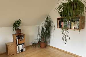 - Zwischenmiete - Schöne, helle 3-Zi. Wohnung mit Gartennutzung in Berlin Köpenick – Die vollständige Adresse der Immobilie erhältst du vom Anbieter., 12555 Köpenick, Berlin – Vorschaubild 7