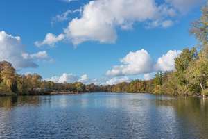 Provisionsfrei & bezugsfertig: lichtdurchflutete ruhige 3,5 Zimmer in Park- & Seenähe – Die vollständige Adresse der Immobilie erhältst du vom Anbieter., 13351 Wedding, Berlin – Vorschaubild 14