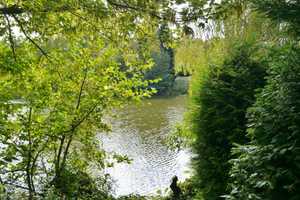 Idyllisches Ferienhaus – Emsland (Kreis) – Vorschaubild 1