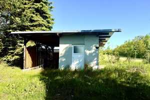 Einfamilienhaus mit Einliegerwohnung auf 1 Hektar Anwesen - für Naturliebhaber & Selbstversorger! – Märkisch-Oderland (Kreis) – Vorschaubild 34