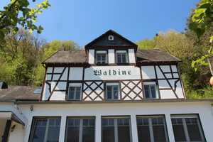 Großes Landhaus mit direktem Moselblick!! – Bernkastel-Wittlich (Kreis) – Vorschaubild 5