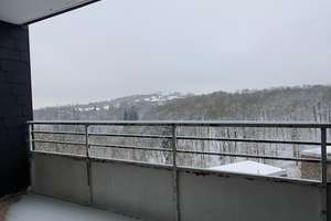 Frisch renovierte 4 Zimmer Wohnung in Siegen sucht nette Mieter – Ypernstr. 190, 57072 Siegen, Siegen – Vorschaubild 5