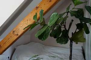 Wohnung in der Südstadt – Landsbergstraße 19, 50678 Altstadt/Süd, Köln – Vorschaubild 4