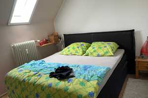 Vielfältig nutzbares Einfamilienhaus mit kleiner Einliegerwohnung in Regensburg - Konradsiedlung – Regensburg – Vorschaubild 9