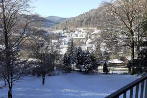 1-Zimmer-Wohnung in Bad Herrenalb mit Balkon und wunderbarem Ausblick – Die vollständige Adresse der Immobilie erhältst du vom Anbieter., 76332 Bad Herrenalb – Vorschaubild 12