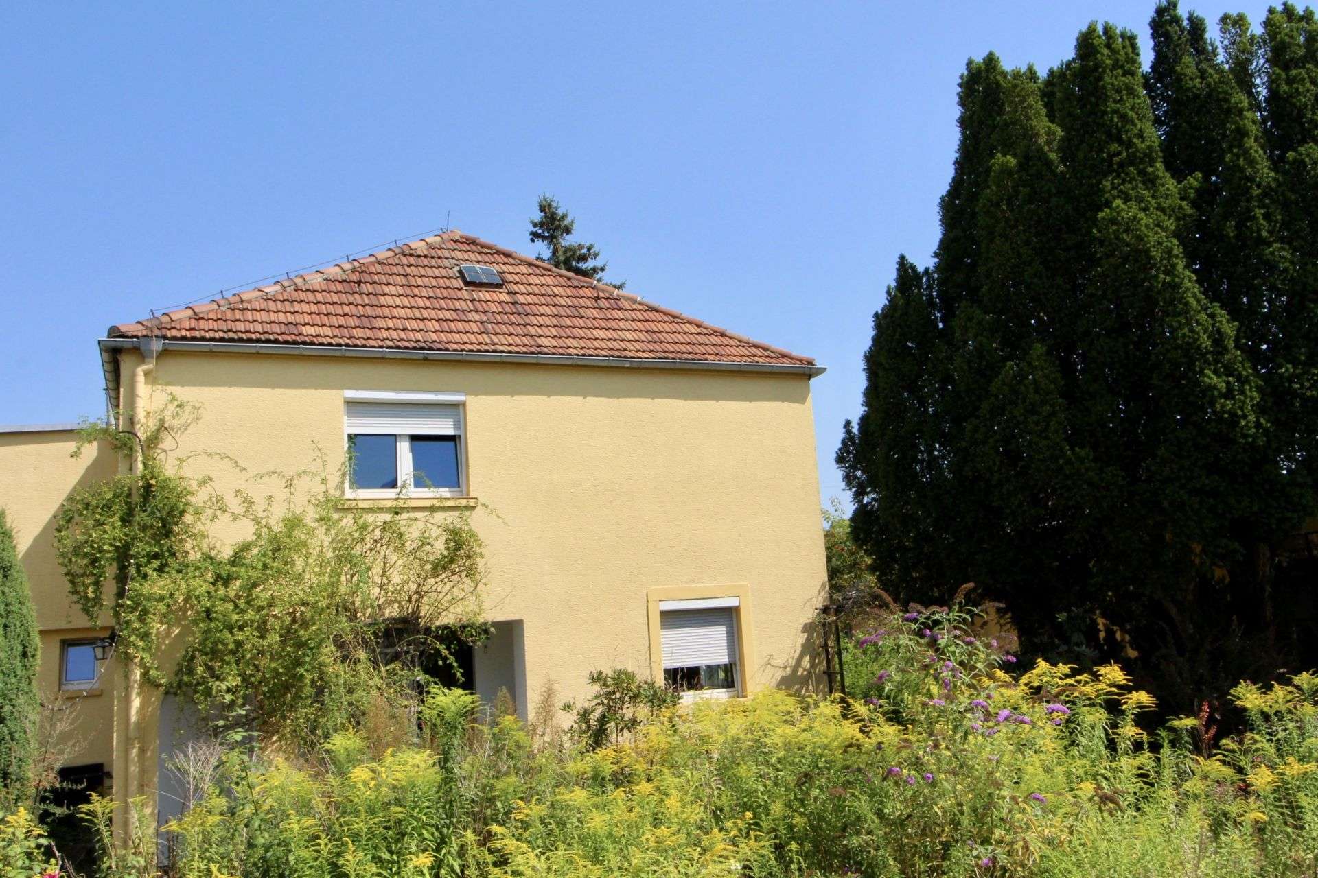 Riesen Chance- Freistehendes Einfamilienhaus im Dresdner Norden, Dresden – Bild 2