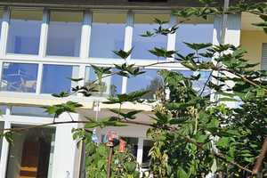 Hochw. saniert RMH;Dachloggia, Kamin, Garten, Doppelgarage, Keller ruhige Wohnlage, 340 qm; – Mainz-Bingen (Kreis) – Vorschaubild 6