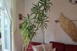 Neo-Renaissance, 3 Zimmer Altbauwohnung zentral und ruhig in Neuhausen – Ruffinistraße 24, 80637 Dom Pedro, München – Vorschaubild 9