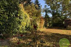 ** EIN-familienhaus Traum ** 5 Zimmer ** ca. 311 qm Grundstück ** Garten mit altem Baumbestand ** – Marloffsteiner Straße 82, 90411 Nürnberg – Vorschaubild 63