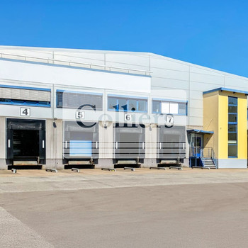 HONORARFREI | Hallenfläche ca. 5.000 m² | Kurzfristig verfügbar