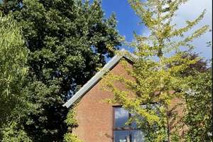 Großzügiges Einfamilienhaus in ruhiger Sackgasse zwischen Wellsee und Rönner Holz – Die vollständige Adresse der Immobilie erhältst du vom Anbieter., 24146 Elmschenhagen, Kiel – Vorschaubild 7