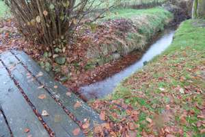Carinerland / Garvensdorf. – Am Hellbach 4, 18233 Kirch Mulsow – Vorschaubild 16